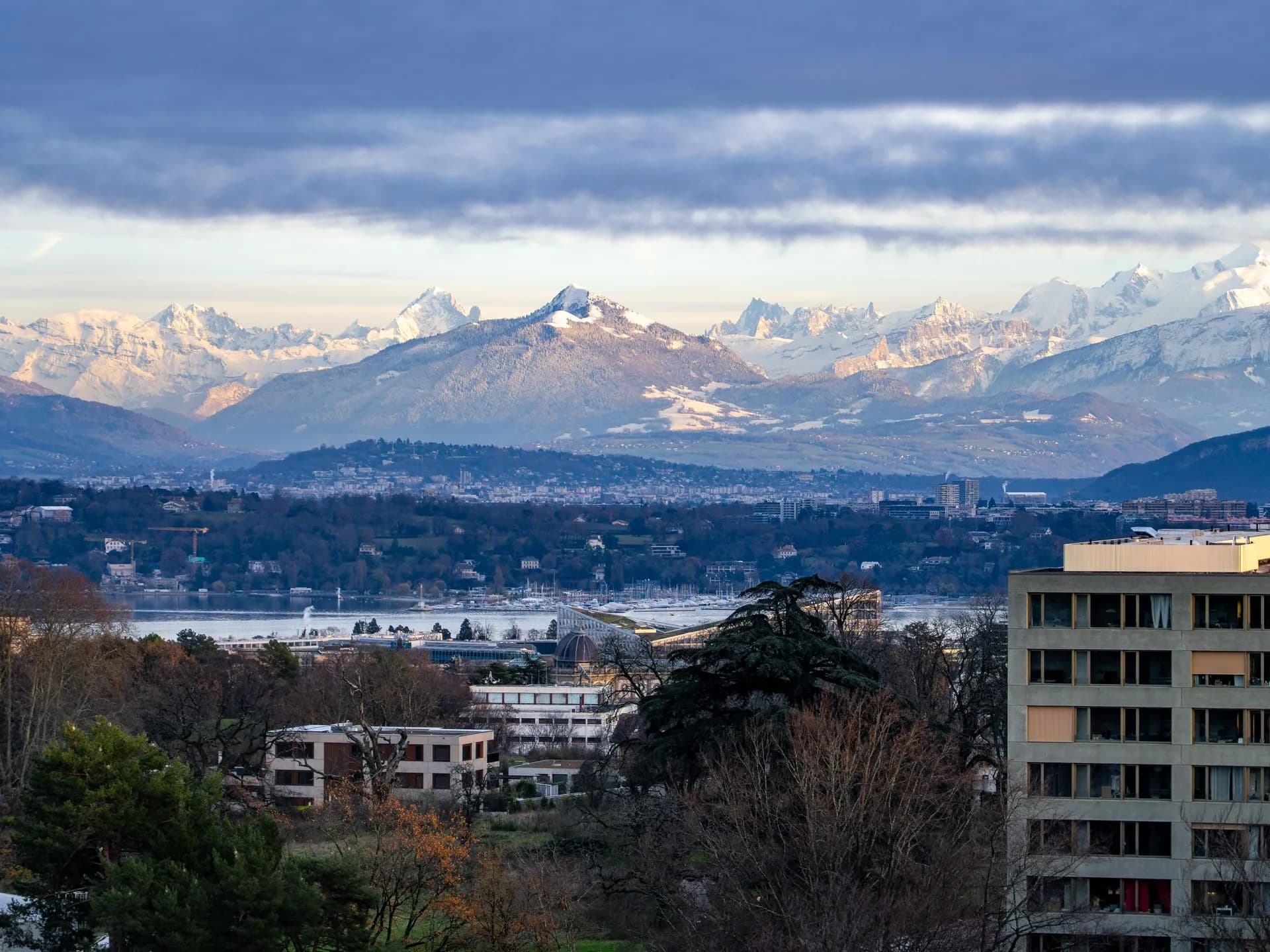 Vue sur la rade de Genève depuis les hauteurs, immeubles au premier plan et Alpes à l'horizon